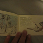 Talvilintuja Kansallis-Osake-Pankki 10/1983 - pikkukuva 3