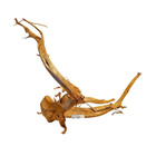 Uniikki akvaariojuurakko 50 cm | nr36C - pikkukuva 5