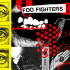 FOO FIGHTERS: TAKE COVER TOUR 2 lippua - pikkukuva 3