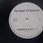 THE BOYS OF SUMMER 7 " Vinyyli Single - pikkukuva 4