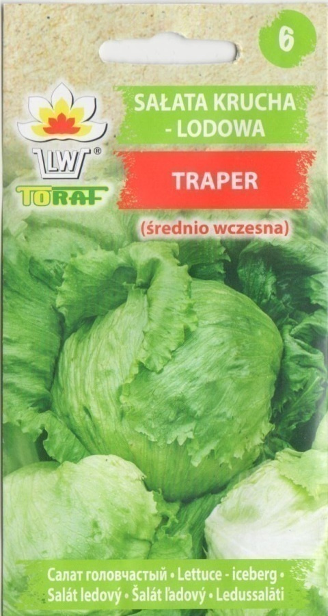 Jäävuorisalaatti siemenet - Traper #