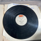Dingo nimikirjoituksilla/ kerjäläisten valtakunta LP - pikkukuva 4