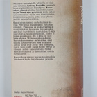 Anthony Powell : Kasvatuksen nimissä - pikkukuva 2