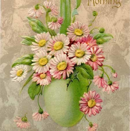 ANTIIKKIKORTTI / Ihanat asterit muna-amppelissa. 1900-l.