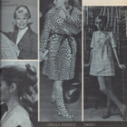 Me Naiset n:o 38 1967 Anita Hirvonen. Henrik. Kuka haluaisi - pikkukuva 5