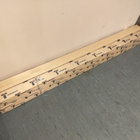 Sisäpaneeli RAW 15x90x1800 mm STP haapa - pikkukuva 1