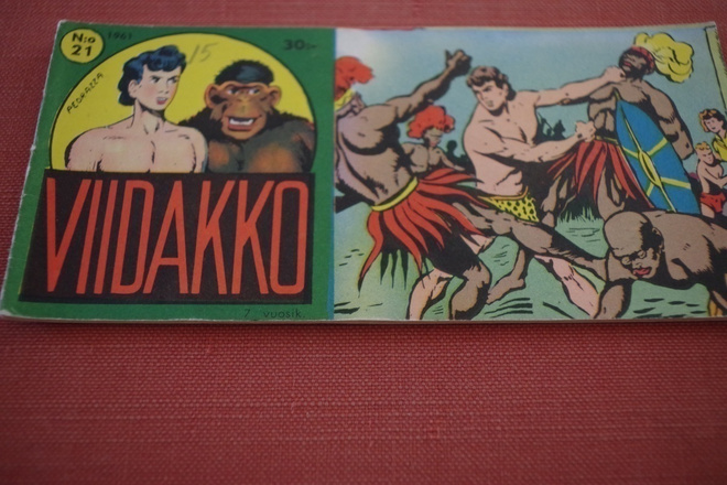 Viidakko 21 /1961