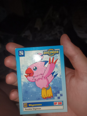 1999 Upper Deck, Digimon Animated Series, #13 Biyomon card
