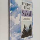 Hermann Hesse : Sanat kuin taika - pikkukuva 1