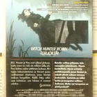 Ergo Proxy 04: Wrong Way Home (DVD) - pikkukuva 2