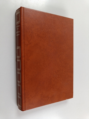 Jules Verne : Merten alitse