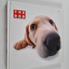 The Dog - Artlist Collection - pikkukuva 1