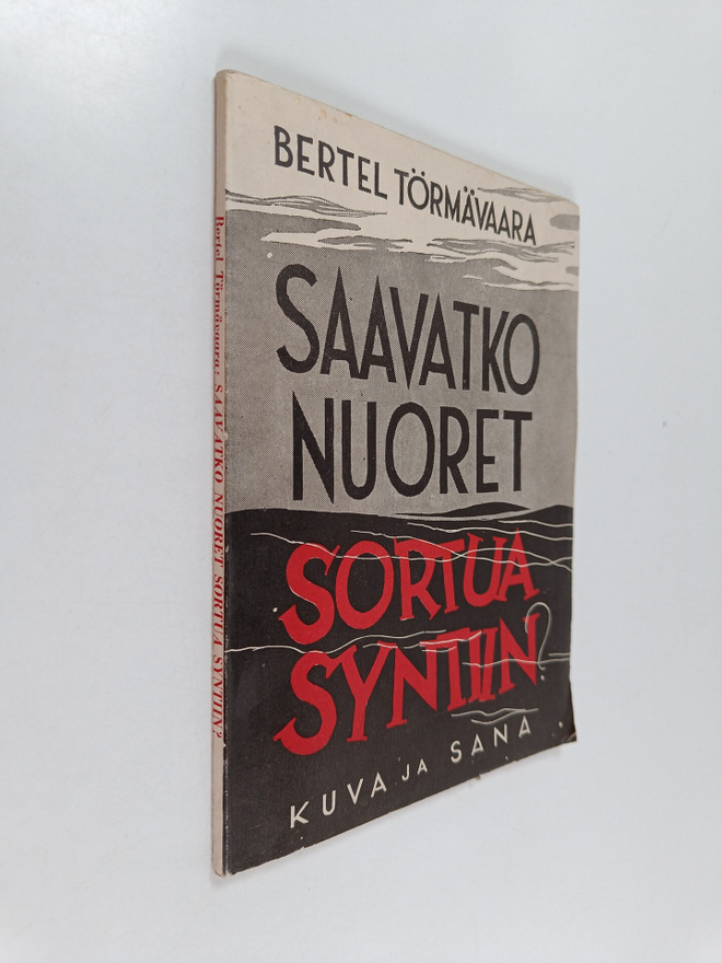 Bertel Törmävaara : Saavatko nuoret sortua syntiin?