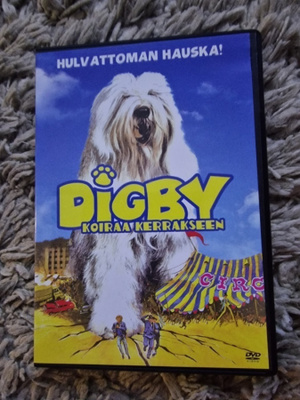 Digby koiraa kerrakseen