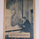 Kouluradio : Ohjelmisto syyslukukaudella 1941 - pikkukuva 2