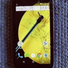 Motorola Moto E2 (LTE) - pikkukuva 1