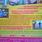 Risto Räppääjä Ja Viileä Venla DVD - pikkukuva 3