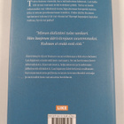 Juhani Laulajainen : Äärettömän hyvä nainen - pikkukuva 2