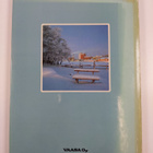 Mikko Julkunen : Vaasa - Vasa - pikkukuva 2
