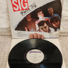 SIG Paras Sig lp - pikkukuva 2