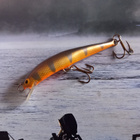Nils master invincible 8cm - pikkukuva 1