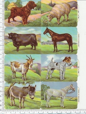 * MLP no 983, maatilan eläimiä-arkki, oikea puoli *