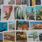 Dinosaurus 76 kpl keräilykorttia (DinoCardz 1992) - pikkukuva 3