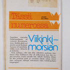 Juhani Salomaa : Viikinkimorsian - pikkukuva 2