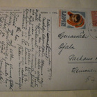 Poro, lappalaisen ajokki, vkpk, p. 1954 + Lapin lapset ksm - pikkukuva 2