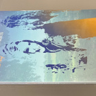 Robert Plant & Alison Krauss - 2LP, LTD, uusi - pikkukuva 4