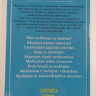 Lauri Rauhala : Mitä meditaatio on - pikkukuva 2