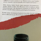 RIKOTTU RUUKKU - NAISEN MATKA VALOA JA TOIVOA KOHTI - pikkukuva 2