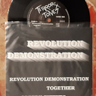 Terrortones - Revolution Demonstration 7"EP - pikkukuva 2