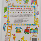Isabel Clark : My big book of words - pikkukuva 2