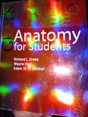 Drake : GRAY'S Anatomy for Students (  SIS POSTIKULU  )