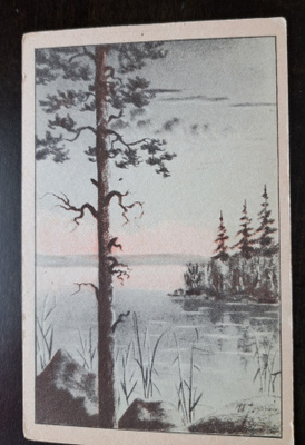 Järvimaisema, taidekortti, kulkematon