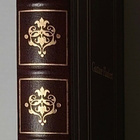 Gustave Flaubert - Rouva Bovary - pikkukuva 2