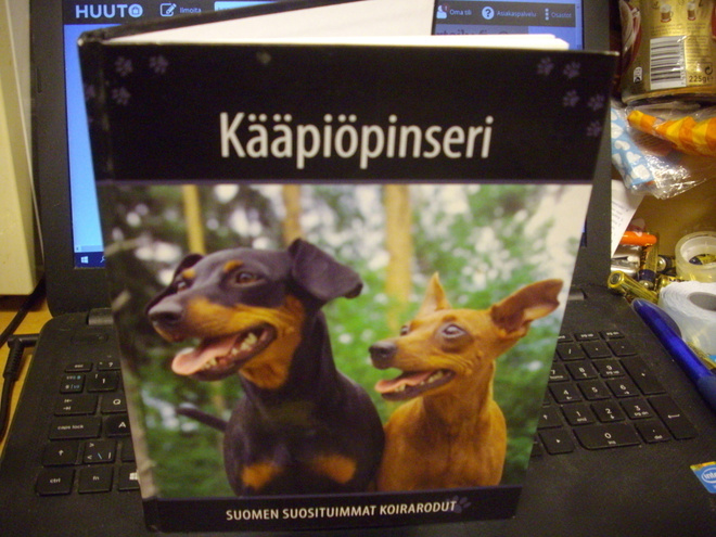 Kääpiöpinseri  - Suomen suosituimmat koirarodut (Sis.postik)