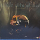 VAN HALEN - S/T U.S -78 1ST PRESS EX-/EX- LP - pikkukuva 2
