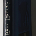 Toni Morrison - Sinisimmät silmät - pikkukuva 2
