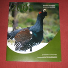 Suomen Postin vuosilajitelma 2003 ! - pikkukuva 1