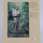 Jane Goodall : The chimpanzees of Gombe : patterns of beh... - pikkukuva 2