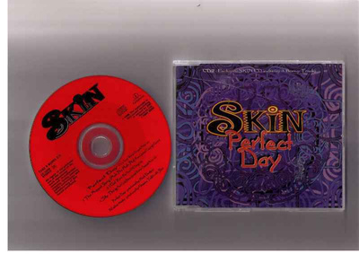 CDS SKIN-PERFECT DAY
