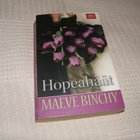 Maeve Binchy Hopeahäät -pok - pikkukuva 1