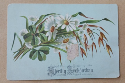 Onnittelut, päivänkakkaroita, helpeitä, apilaa, k. 1885