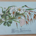 Onnittelut, päivänkakkaroita, helpeitä, apilaa, k. 1885 - pikkukuva 1
