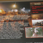 Alamo dvd sota ja western, toiminta - pikkukuva 2
