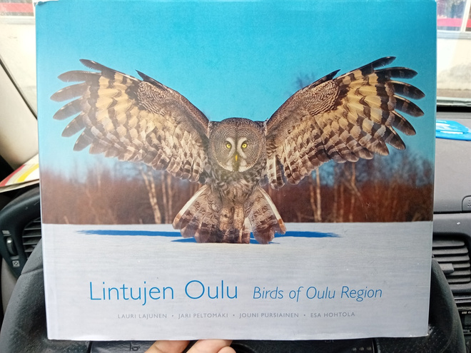 Lajunen  : Lintujen Oulu ( SIS POSTIKULU  )