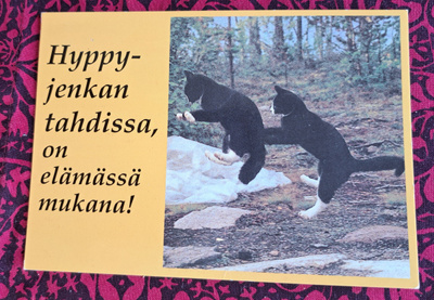 kissat hyppelee, hyppyjenkka, kulkenut 1998