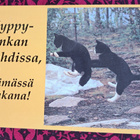 kissat hyppelee, hyppyjenkka, kulkenut 1998 - pikkukuva 1